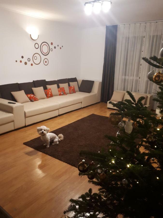 Casa Mais Braşov Exteriör bild