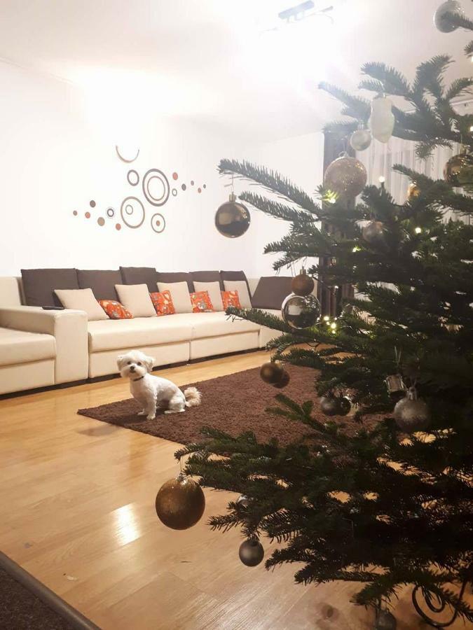Casa Mais Braşov Exteriör bild