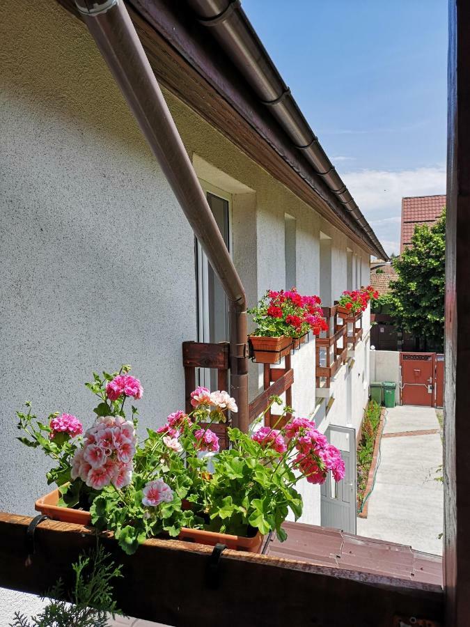 Casa Mais Braşov Exteriör bild